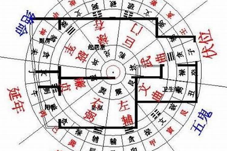 男人梦见老鼠的寓意 男人梦见老鼠是什么征兆周公解梦