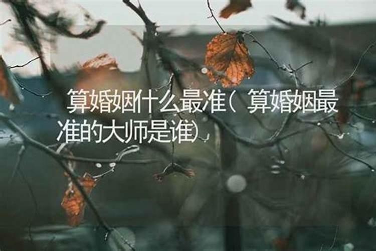 梦见牛的七大预兆