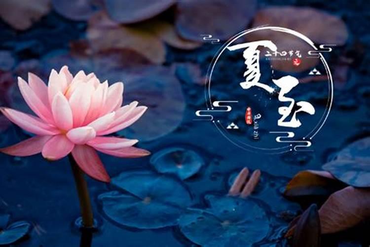 农历12月出生的属羊人运势