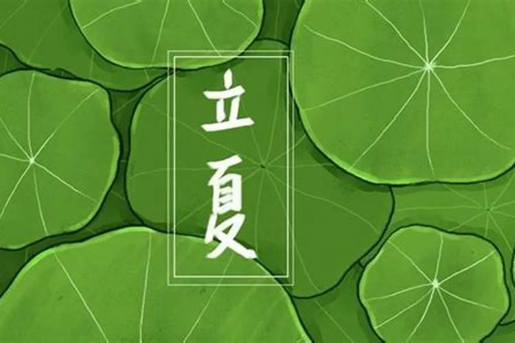 梦到蛇好不好,是吉还是凶？