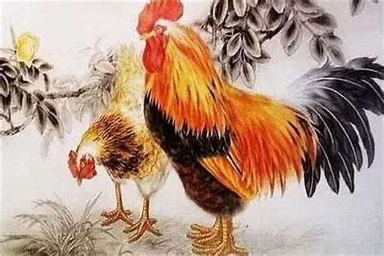 属鸡的和什么属相比较配 属鸡婚配什么属相比较好