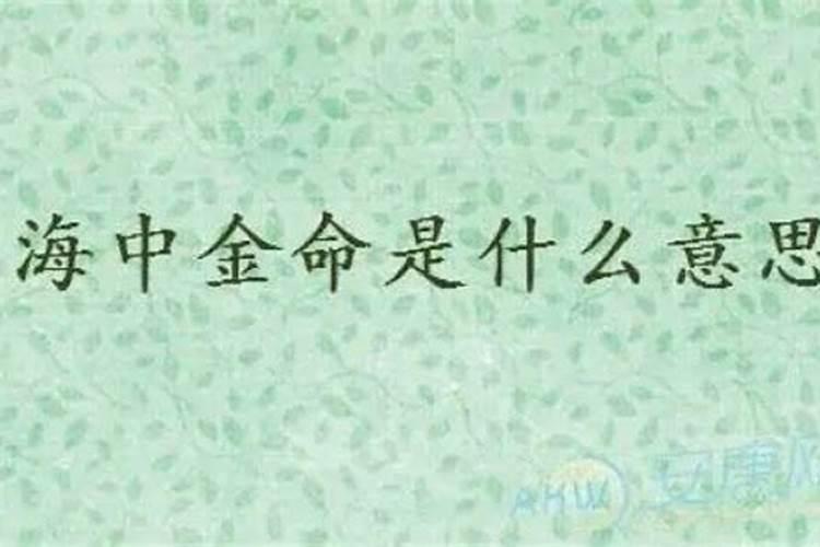 摆放什么风水升官