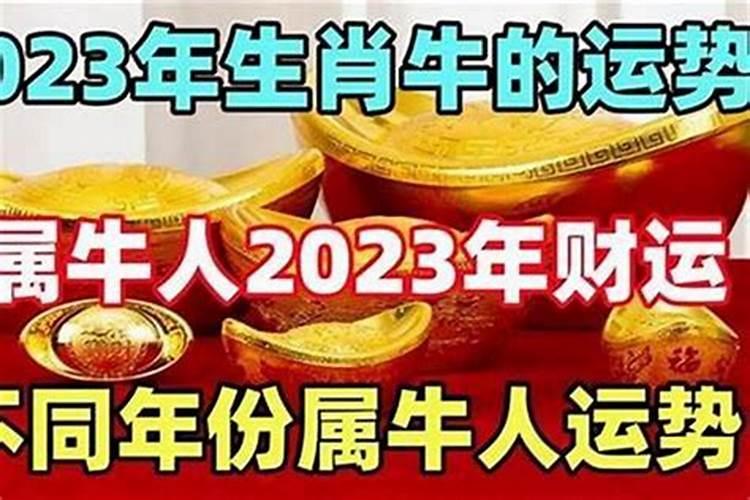 本命年的人财运