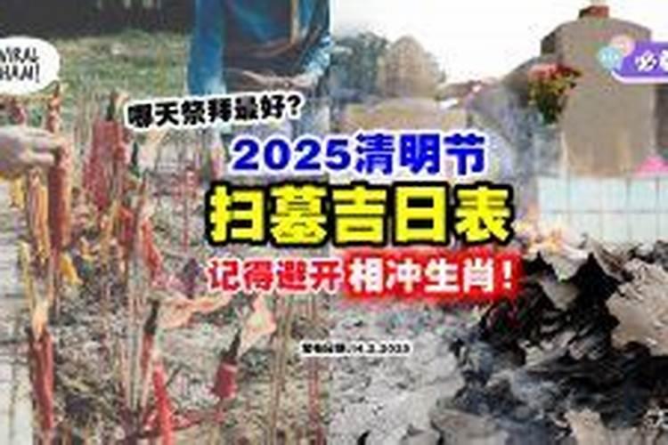 2025属蛇本命年财运怎么样