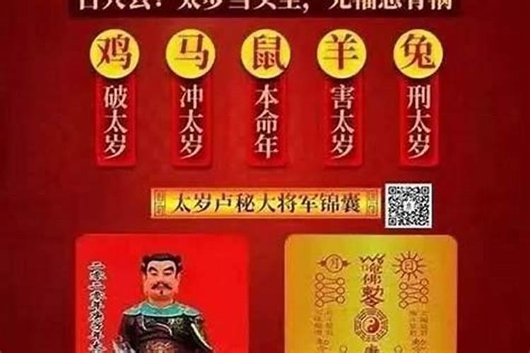 鼠年犯太岁的生肖