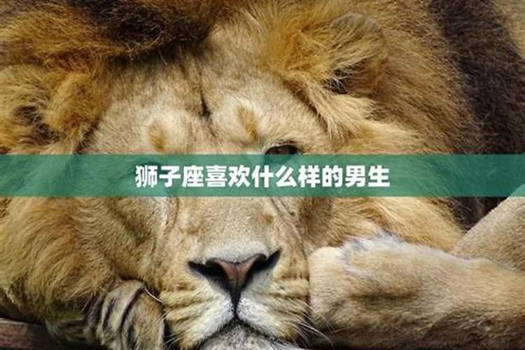狮子座男生难以割舍的心理情结