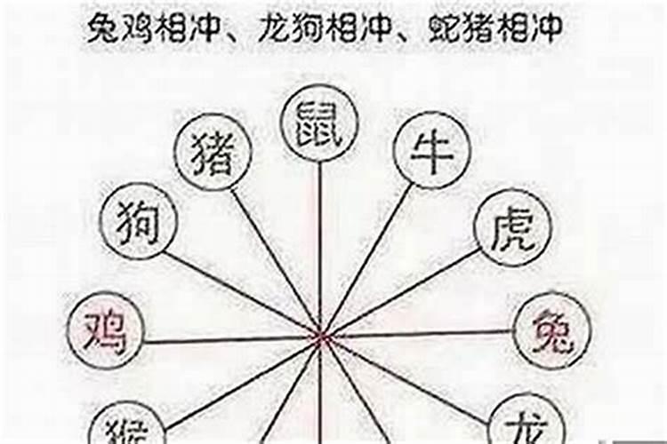 鼠年犯太岁的四个属相