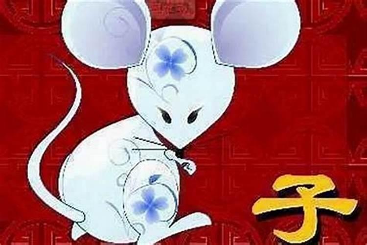 属鼠相合的属相有哪些？