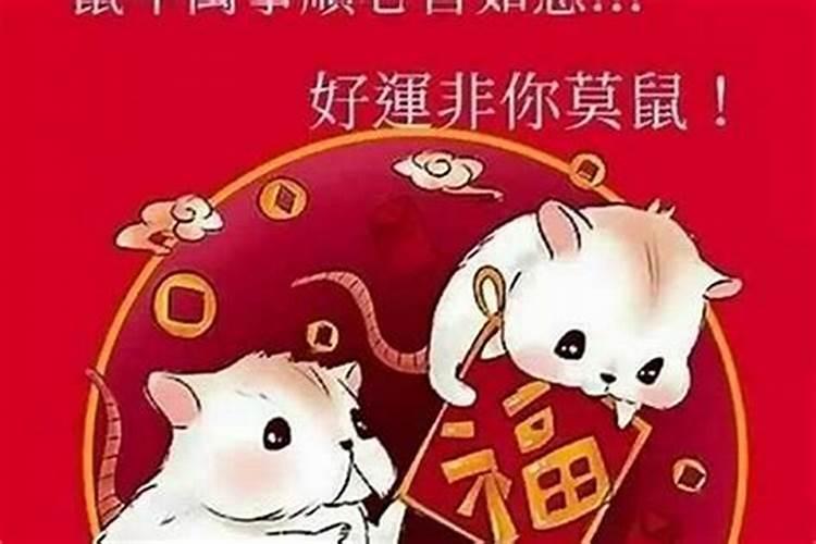 几月份的猪和猴不冲