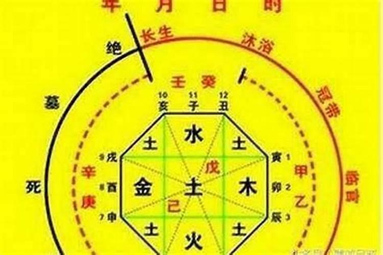 生肖猪2025年运势 属猪2025年运势及运程
