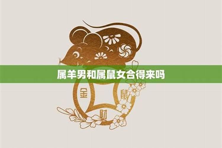 属鼠和属蛇的八字怎么样 六合吗？