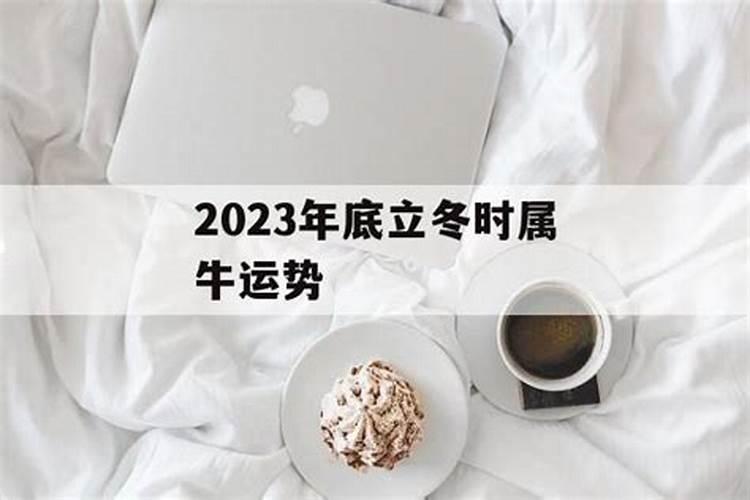 告别“苦耕”？立冬后,生肖牛运势分析,哪方面将迎来丰收？
