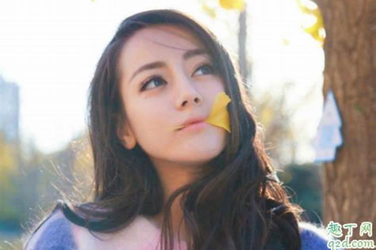 属猪的和哪个属相合财