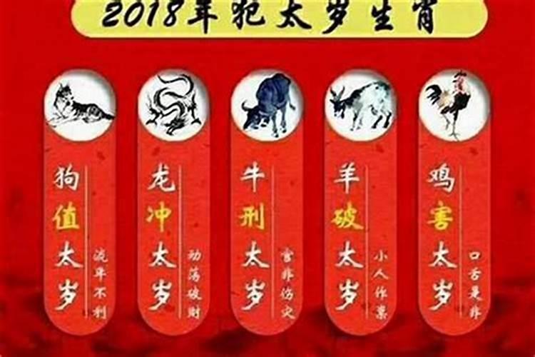 今年什么时候冬至2024 冬至简介