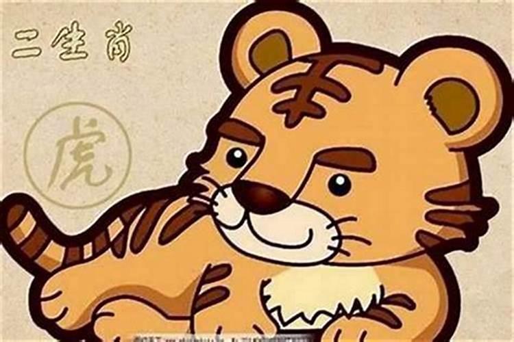 属虎男最佳婚配属相