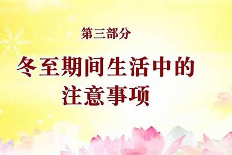 《借东西的小人阿莉埃蒂》——遗失的童真就在某处,只是人们寻不回