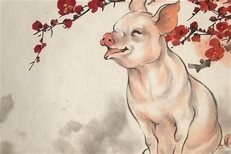 猪年犯冲的四个属相