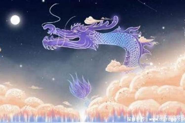 男猴子和龙好还是和鼠好