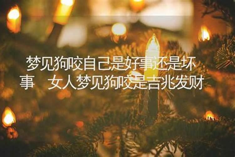 梦见狗狗是什么预兆周公解梦