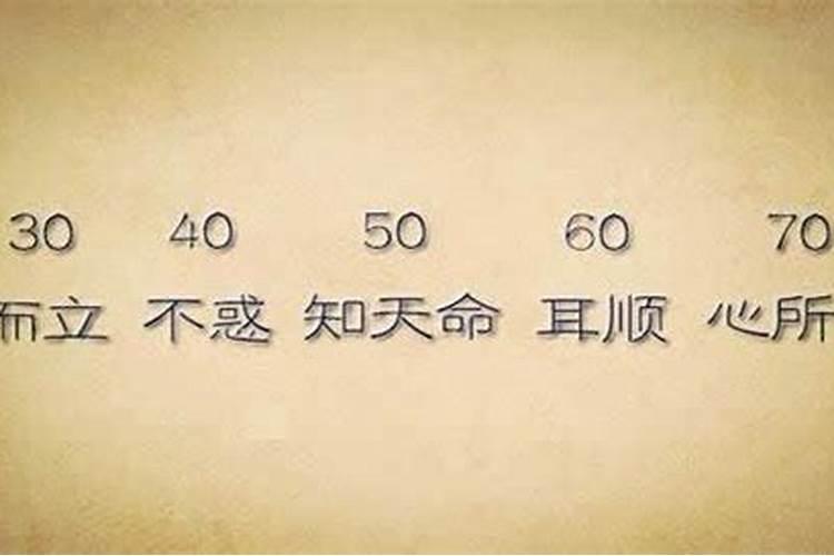 梦见狗的七大预兆周公解梦