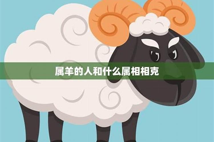 两个都是属羊12月份的般配吗