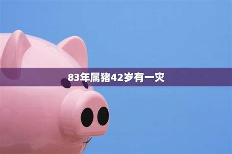 83年属猪人一辈子里贵人,属羊的六个合贵人