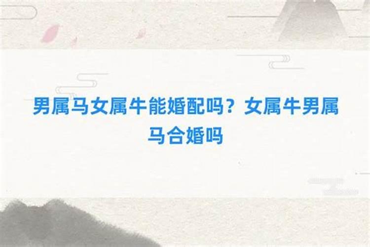 女牛配男马婚姻相冲吗