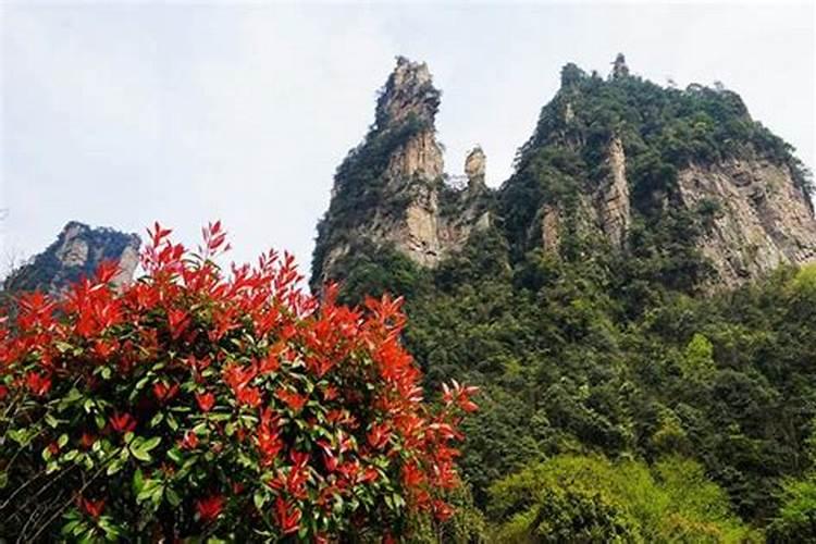 山东济南到张家界旅游攻略
