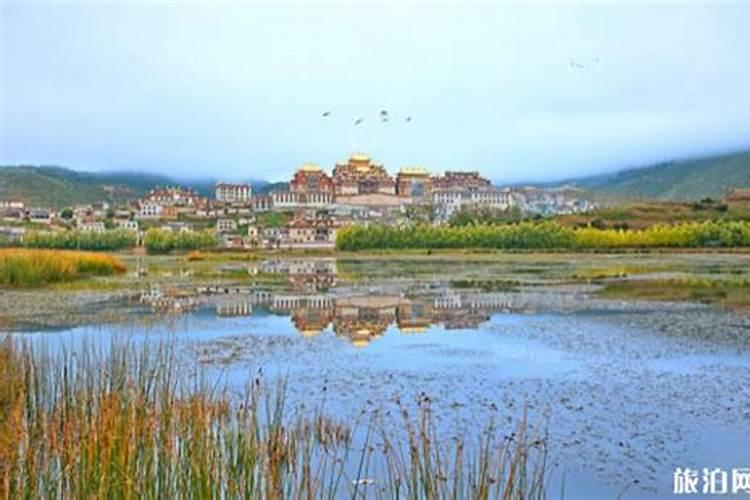 我现在在昆明怎么去香格里拉旅游？