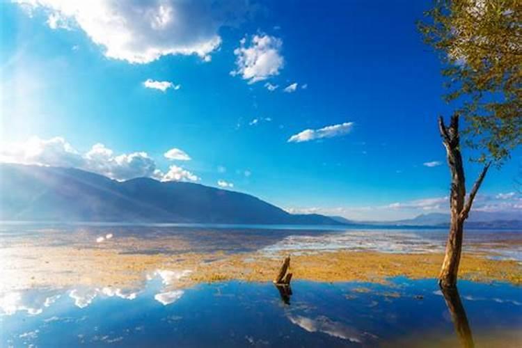 兰州出发，云游彩云之南：云南旅游攻略大全