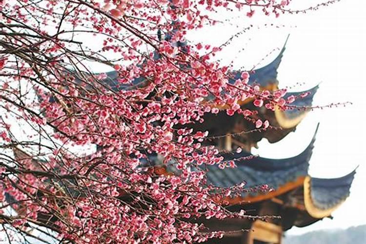 二月下旬杭州旅游