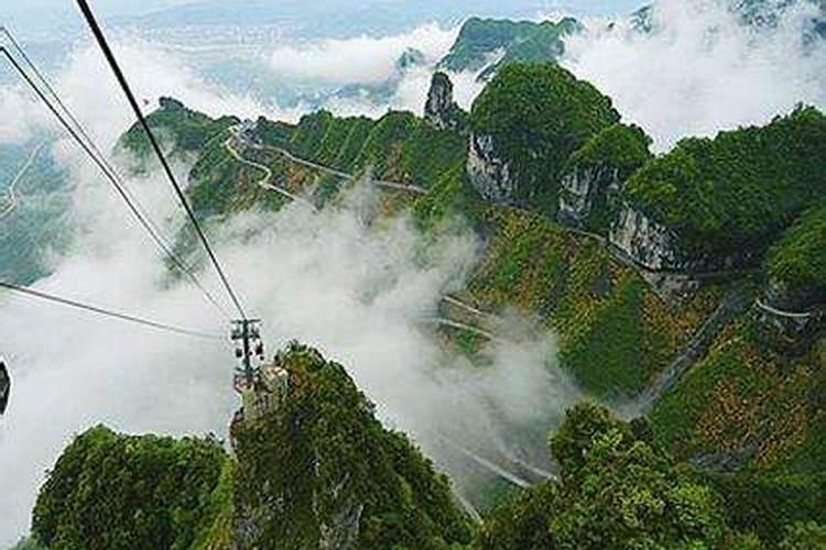 周口随团去张家界旅游多少钱？