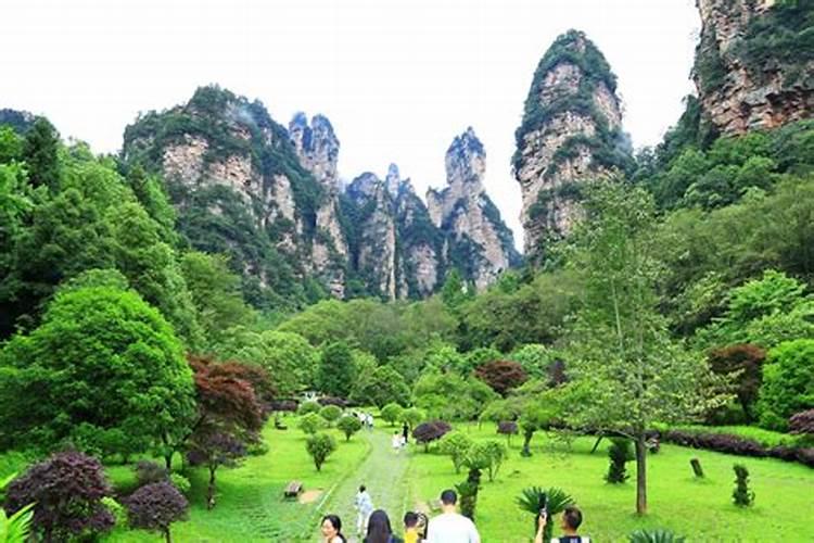 济南去张家界旅游