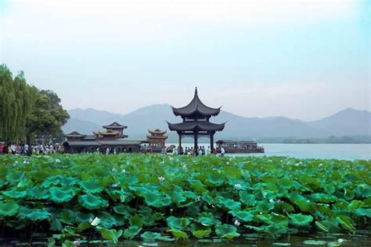 十一上海杭州旅游