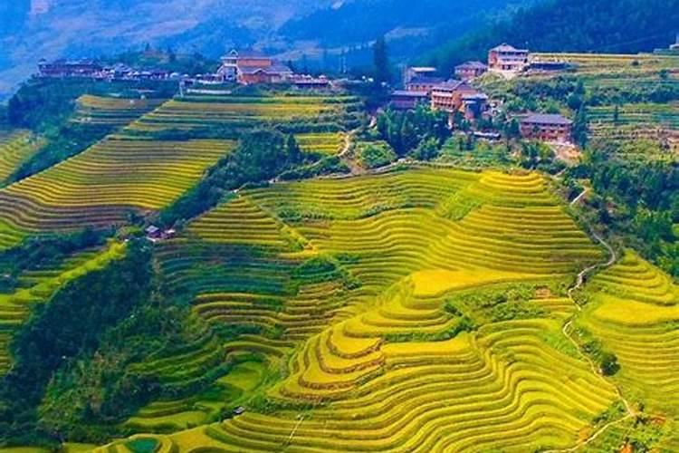漓江阳朔龙脊梯田旅游攻略