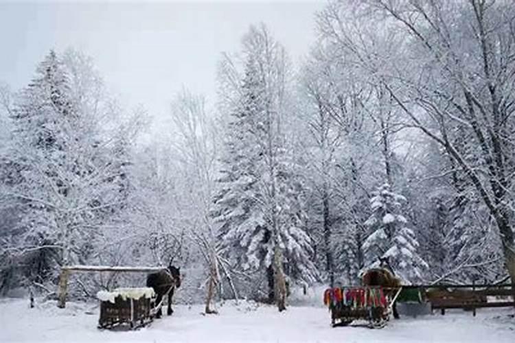 老克湖雪乡旅游攻略