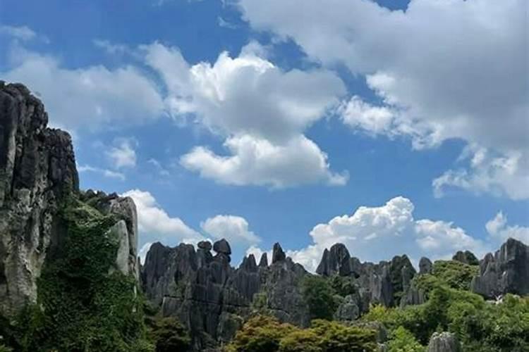 自费去云南旅游5天需要多少钱？