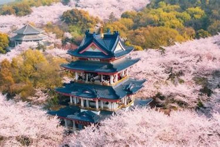 深圳出发杭州旅游