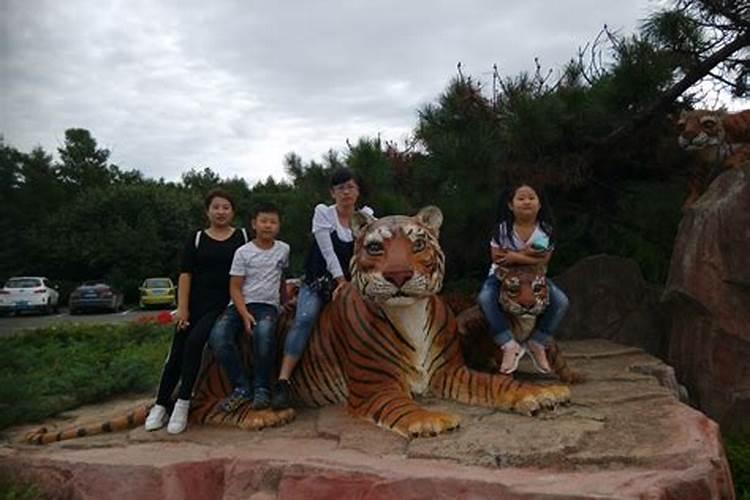 四平市东北虎园旅游