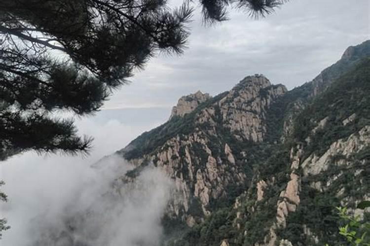 泰山往东走到青岛旅游