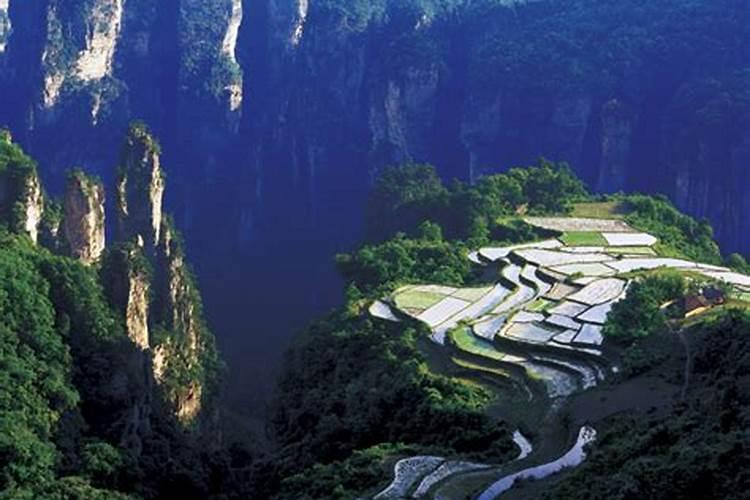 湛江中旅张家界旅游