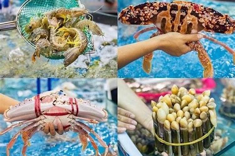 北海到海南五日游