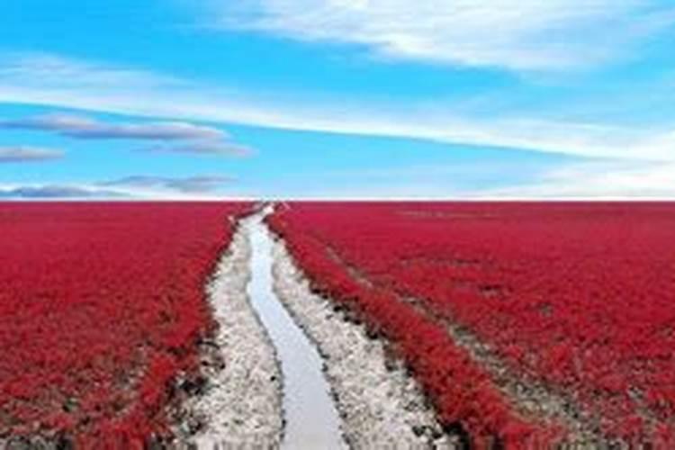 十一东北哪里旅游？