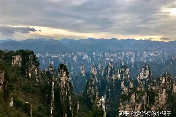泸州至张家界旅游攻略