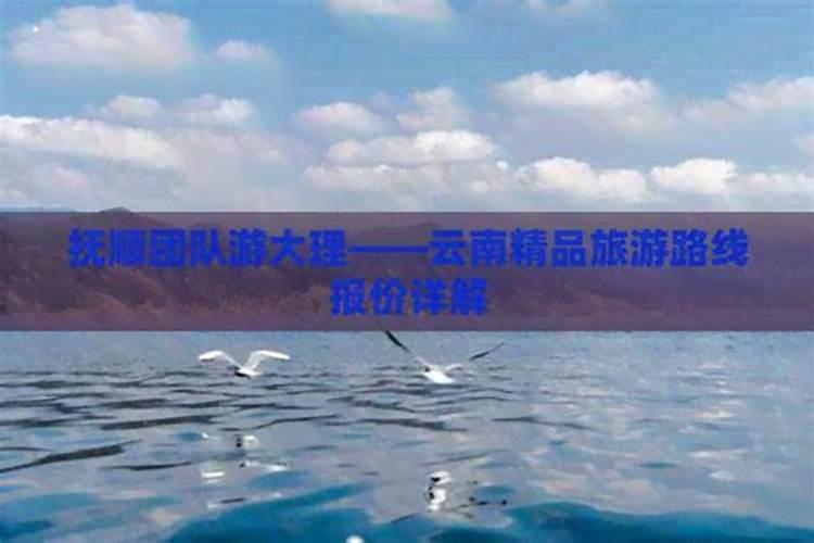抚顺去大理旅游多少钱？