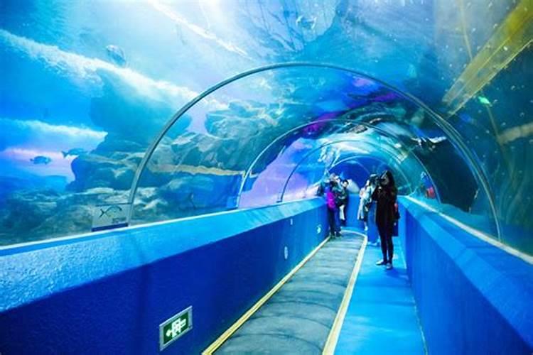 青岛海底世界周边旅游