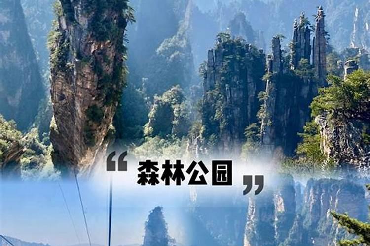 4天去张家界旅游攻略