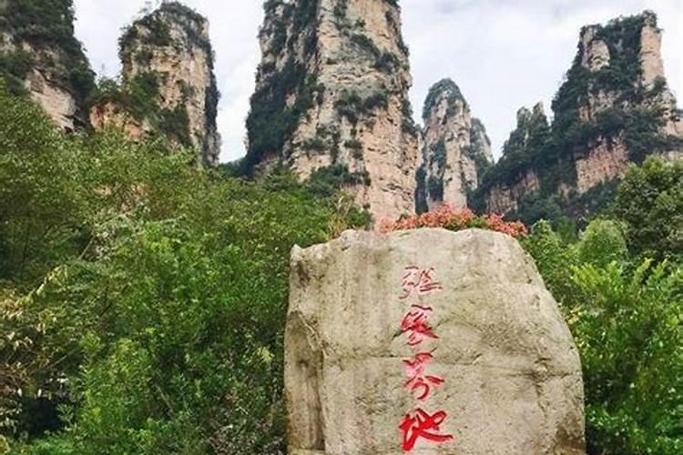 去张家界一次旅游