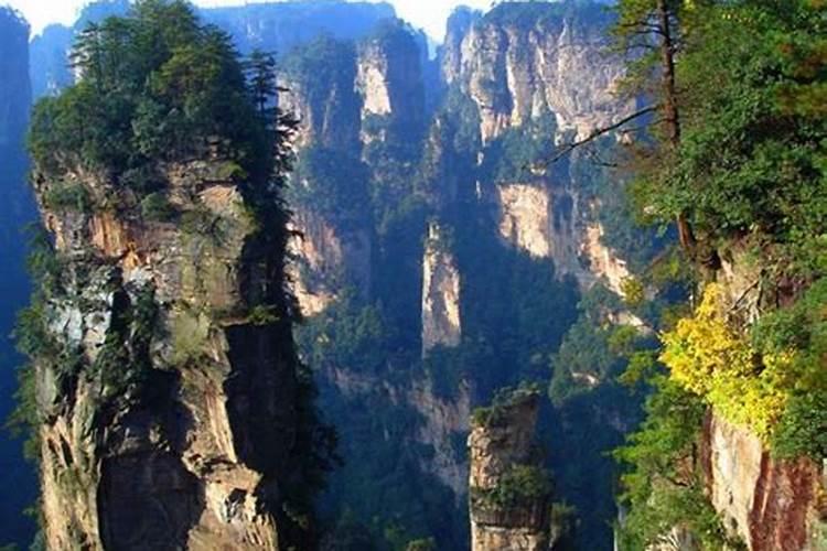 大连去张家界旅游多少钱？