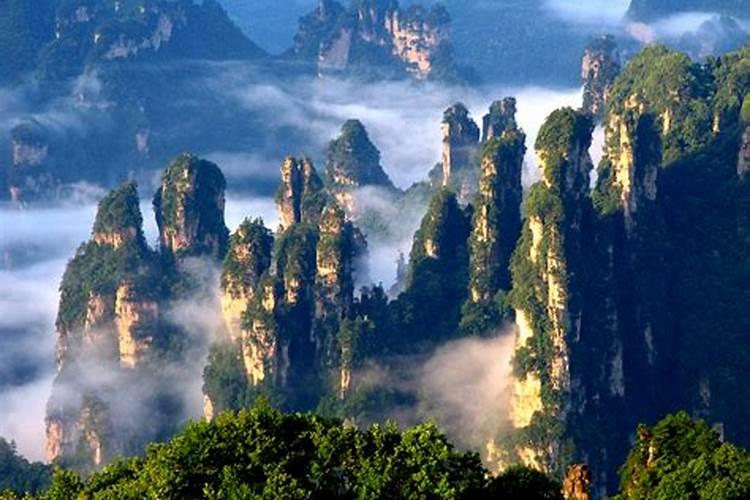 5月到张家界旅游